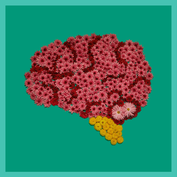 人脑解剖模型，绿色背景上的花卉装置。人体内部器官的部分固定图片图片下载