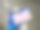 采用凝集法在白底平板上分离维达尔试验，对实验室诊断伤寒、副伤寒、沙门氏菌病进行检测图片下载