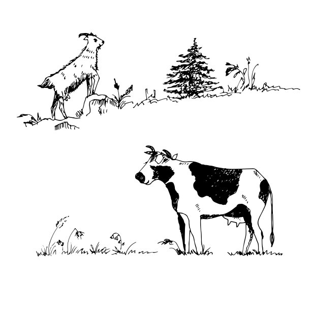 奶牛和山羊在牧场的草地上。矢量插图。图片下载
