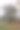 华丽的树图片下载