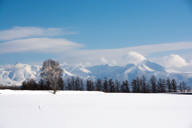 雪原和高山，还有蓝天图片下载