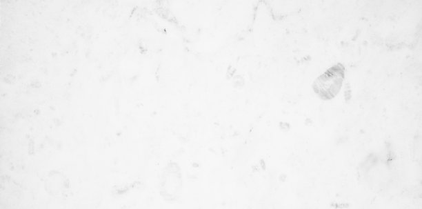 美丽的天然白色大理石的详细照片。石材具有美丽的自然图案。图片下载