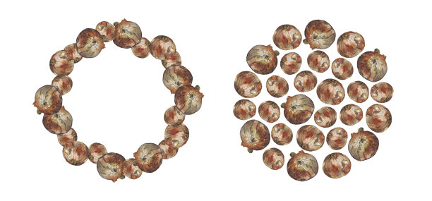 两个棕色洋葱圆形图案图片下载