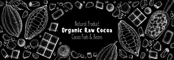 巧克力的烹饪和原料，速写插图。可可豆荚及可可制品。矢量插图。超级食物。健康食品，设计元素。手绘，包装设计。图片下载