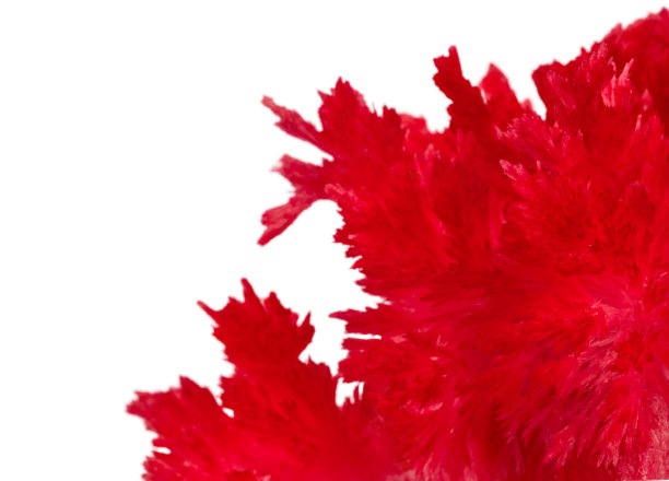 白色背景上人工生长的红色晶体图片下载