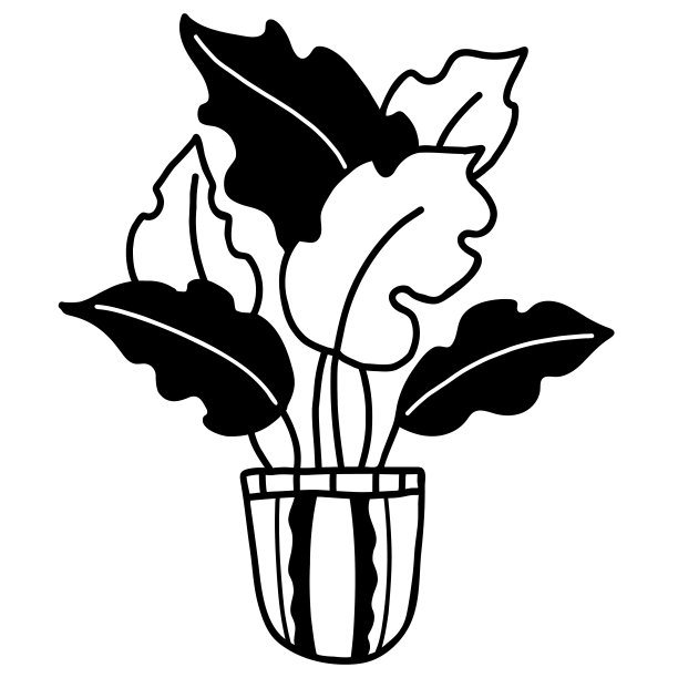 手绘花盆插图，涂鸦风格的室内植物。矢量插图。独立轮廓图形元素用于设计、装饰、明信片和印刷图片下载