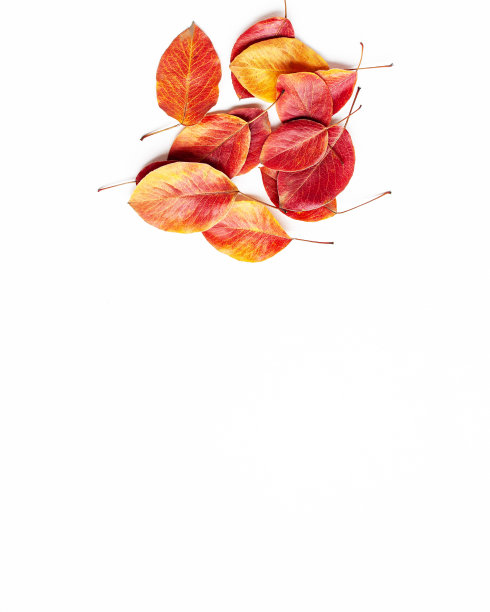 在白色背景的框架左侧，黄色，绿色，棕色，红色和橙色散落的秋叶。暖色模板秋天概念与复制空间图片下载