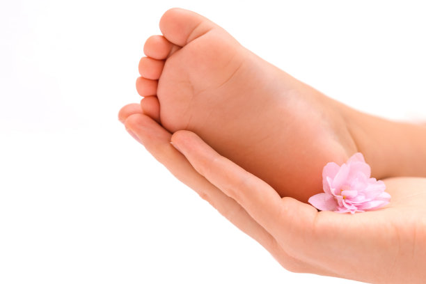 母亲的手掌中握着一朵紫罗兰花的新生婴儿的腿图片下载