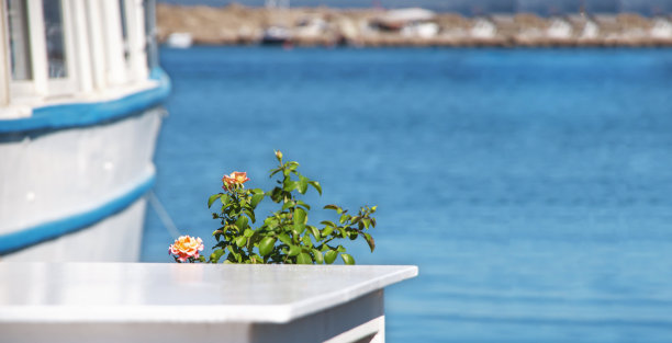 白色的现代木质餐桌，蓝色的大海，白色的木质台面，用于展示，广告推广和产品设计展示。图片下载