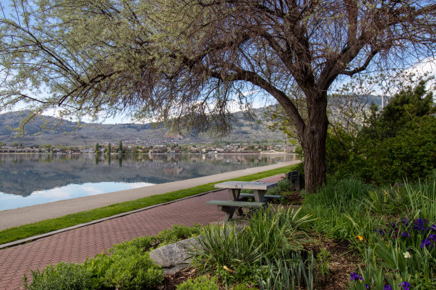 在湖边和花园边散步和骑车图片下载