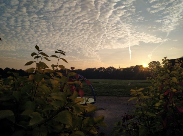 东部拉图片下载