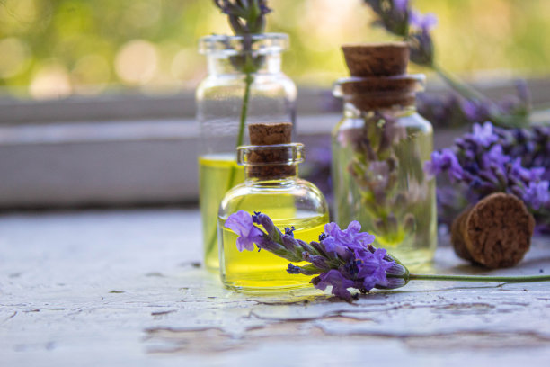 小瓶薰衣草精油。有选择性的重点。图片下载