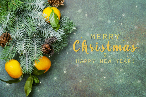 圣诞背景与橘子图片下载