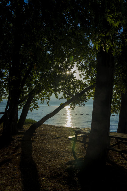 在Cubucak营地的松树海边的野餐桌。Marmaris土耳其图片下载