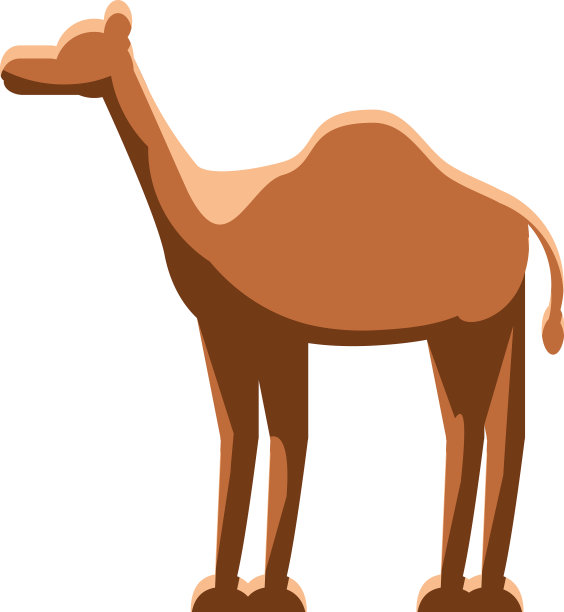 骆驼沙漠动物图片下载
