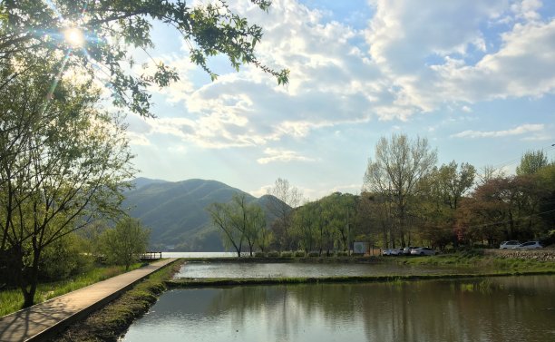 河边有一条小路。图片下载