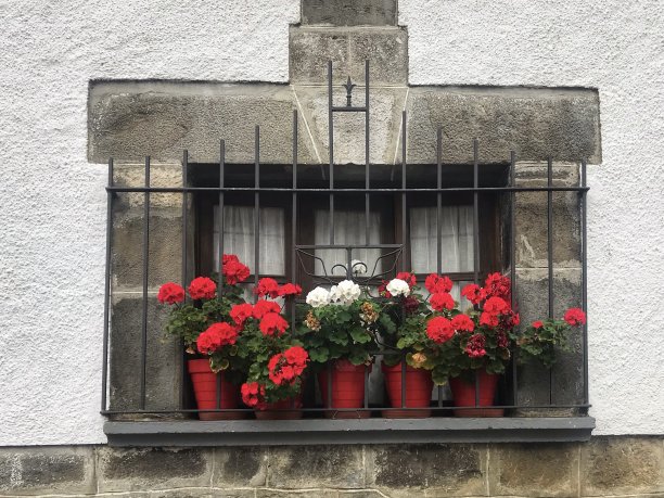 古老的窗户和鲜花在奥查加维亚-奥查加比亚村在纳瓦拉图片下载
