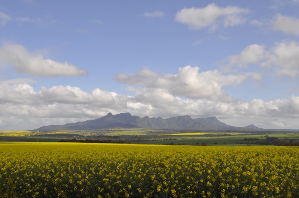 西澳大利亚的斯特灵山脉图片下载