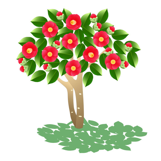 茶花树在阳光下开满了红花图片下载