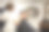 现代理发店里的野蛮人。理发师为留着长胡子的男人做发型。美发师大师用剪子做发型图片下载
