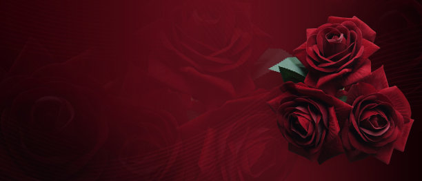 美丽的三红玫瑰花束模糊红玫瑰花和红色背景，自然，爱，情人节，佛，旗帜，模板，复制空间图片下载