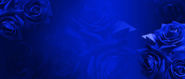 抽象美丽的蓝色玫瑰花束模糊蓝色玫瑰花和蓝色背景，自然，爱情，情人节，佛，旗帜，模板，复制空间图片下载