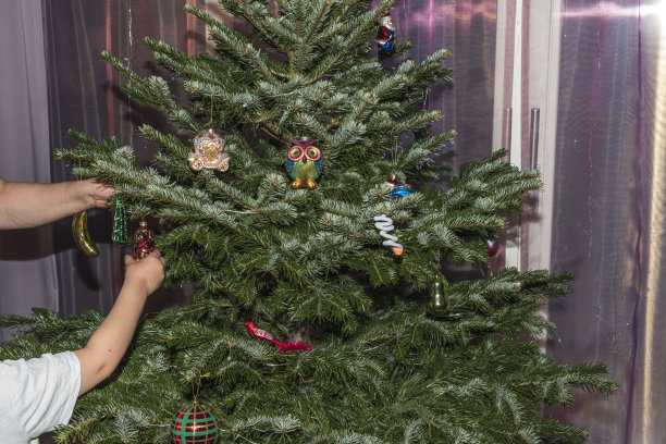 孩子的手拿着玻璃球装饰圣诞树的美丽景象。瑞典。图片下载