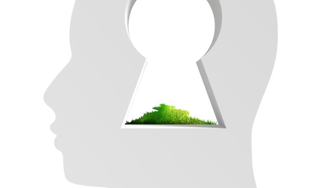 摘要三维绿草路和带钥匙孔的人头图片下载