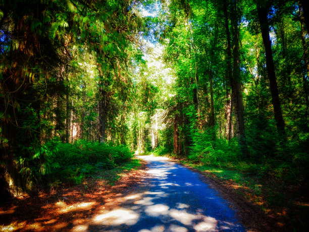 弗雷泽山谷图片下载