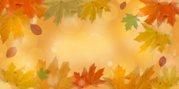 秋叶枫叶背景框图片下载