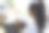年轻女性物理治疗师在物理诊所与客户图片下载