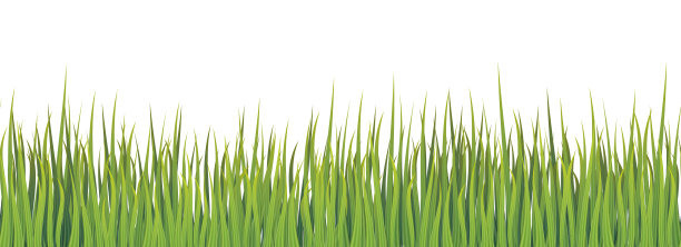 绿色草地无缝现实边界图片下载