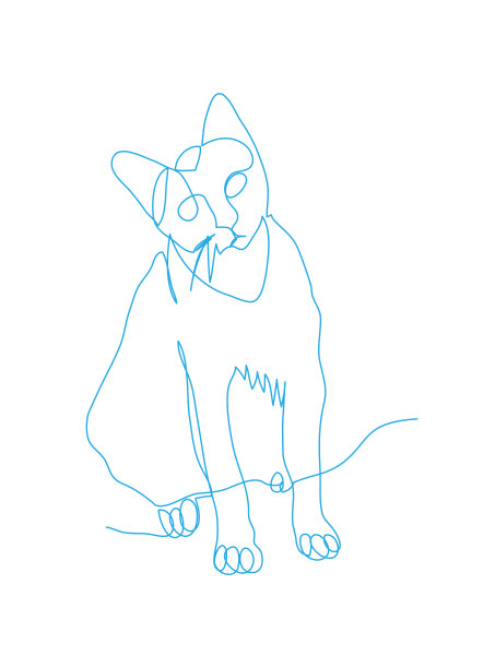 猫坐在地板上图片下载