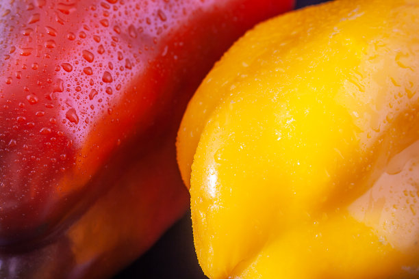 两个辣椒图片下载