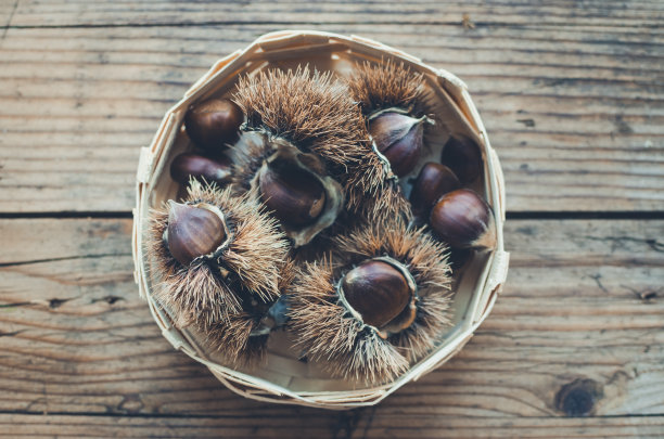 木制背景上的栗子和螺旋图片下载