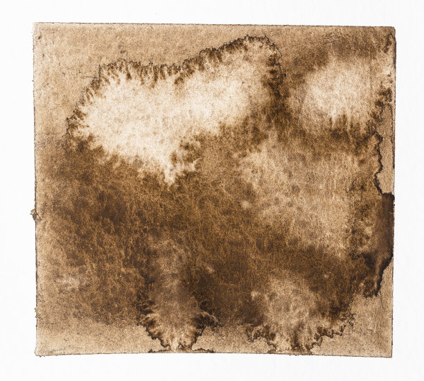 水彩画从未干的颜料上的大水珠上盛开图片下载