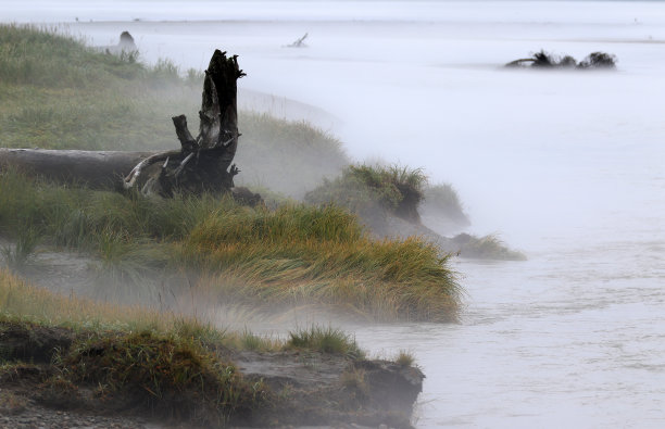 阿拉斯加朱诺的男童军海滩图片下载