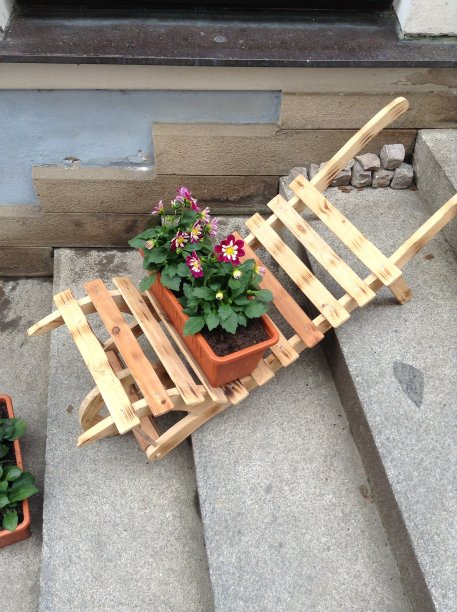 在蔬菜园的木椅上图片下载