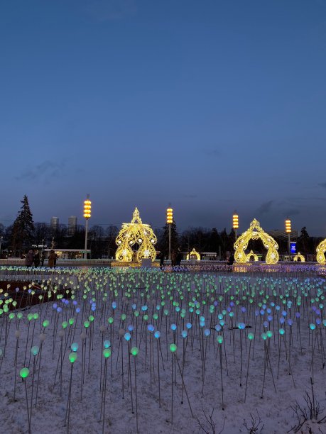 城市的灯光图片下载