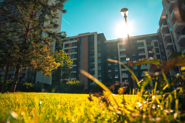 贝尔格莱德住宅区新修剪的草坪图片下载