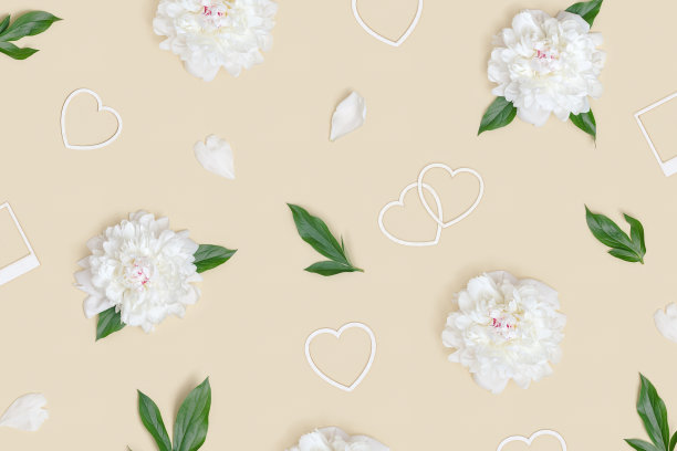 白色牡丹花的布局与心。浪漫的节日或情人节平躺。图片下载