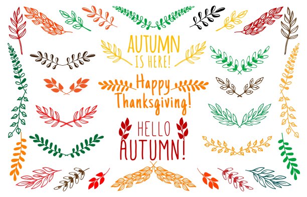 秋叶与花卉元素，线缘图片下载