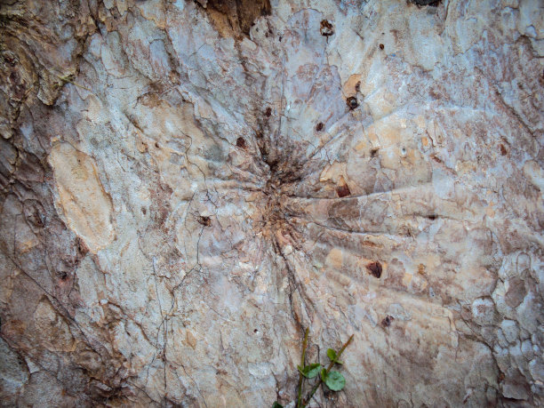 喜马拉雅山脉的石头纹理。图片下载