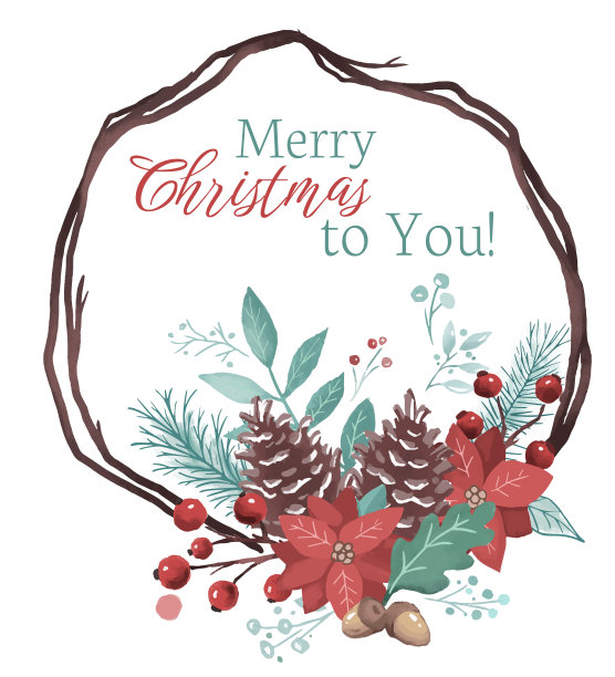 用鲜花和树枝装饰圣诞节的框架图片下载