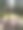 森林空地与石头螺旋图片下载