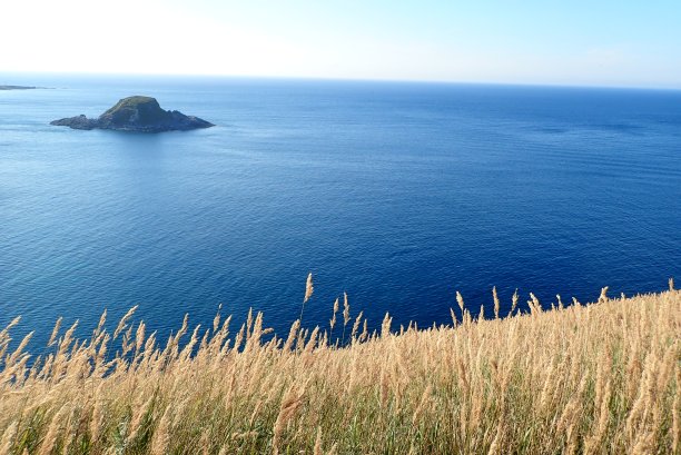 草原，青色，小岛图片下载