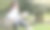 美丽微笑的大学生拿着笔和笔记本坐在绿色的草地上。图片下载