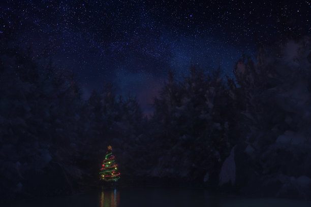 圣诞树在美丽的湖图片下载