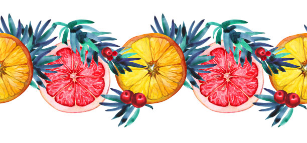 无缝边界水彩柑橘水果:橙片和葡萄柚与红色浆果，绿色的圣诞树树枝孤立在白色背景。为菜单，新年，庆祝的手画食物对象图片下载