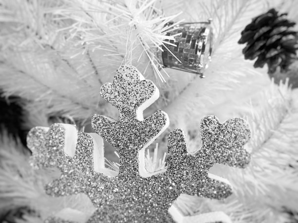 黑色和白色的背景为新年图片下载